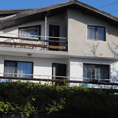 Guest House Palma 金沙 外观 照片