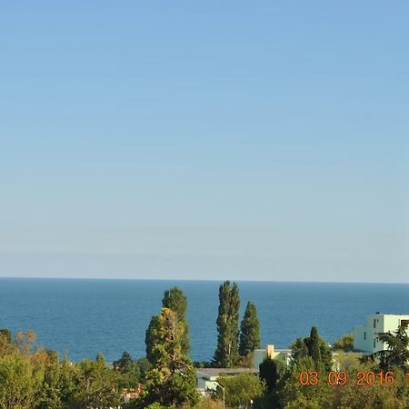 Guest House Palma 金沙 外观 照片
