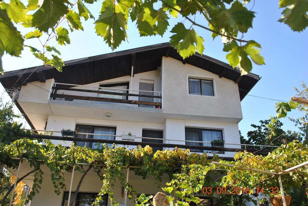 Guest House Palma 金沙 外观 照片