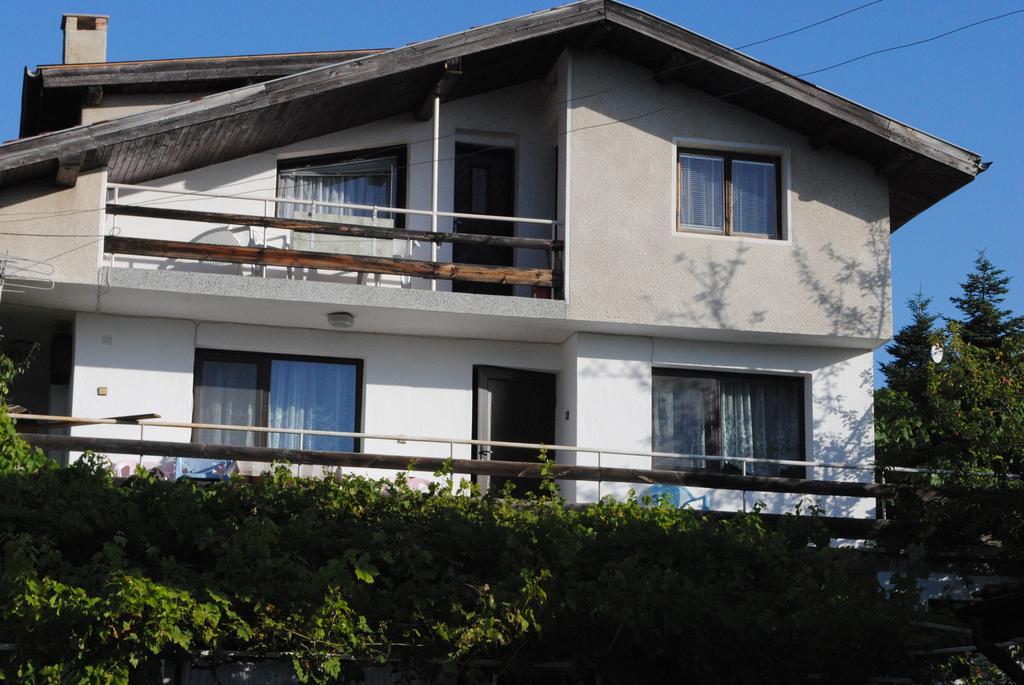 Guest House Palma 金沙 外观 照片