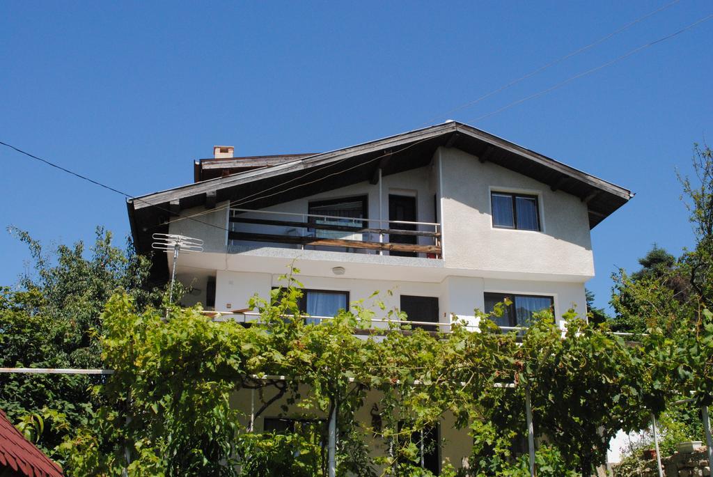 Guest House Palma 金沙 外观 照片
